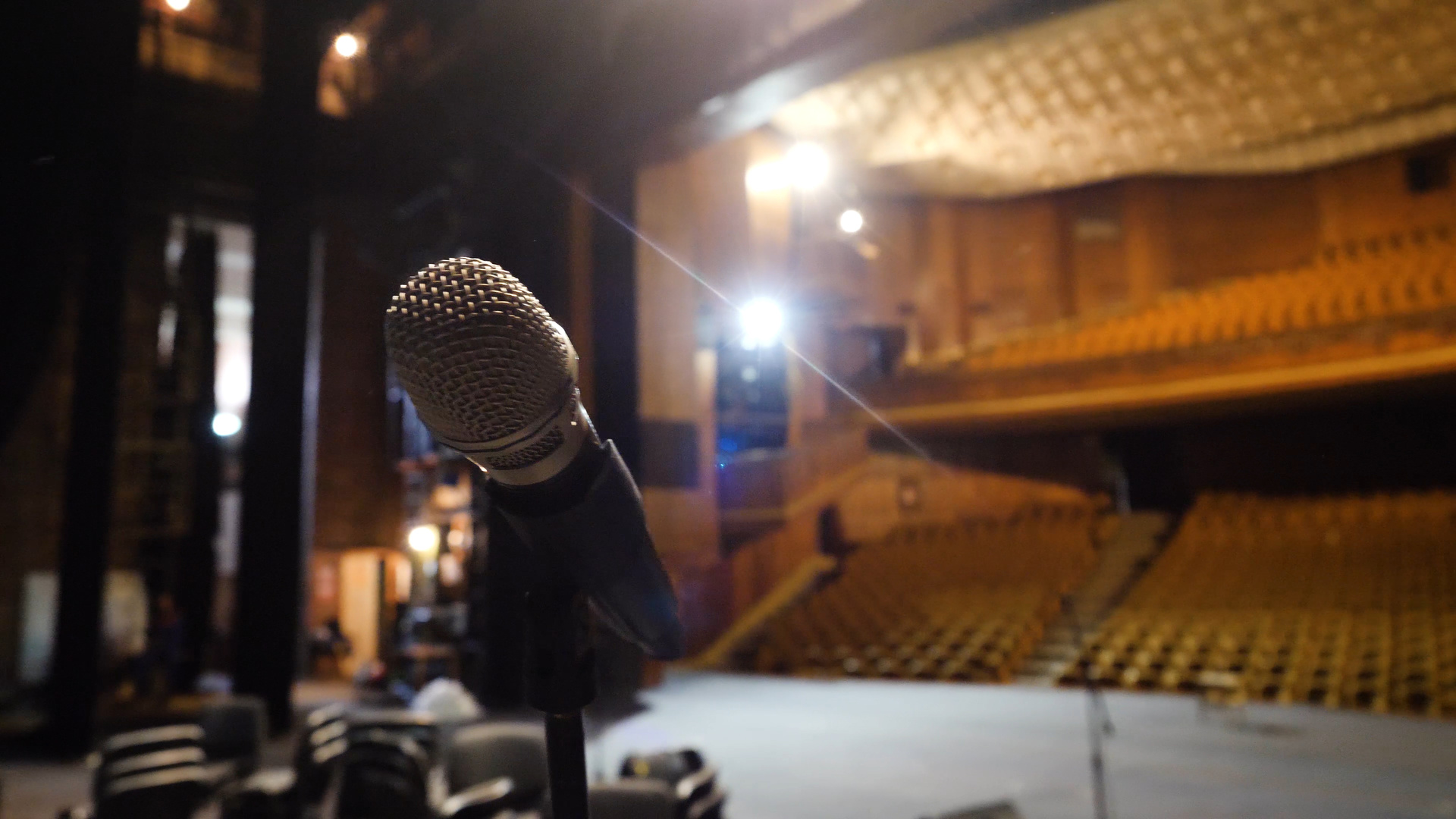 Professional microphone used for performance recording